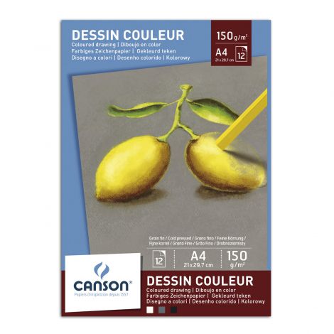 Blok do pasteli Canson A4/12/150g